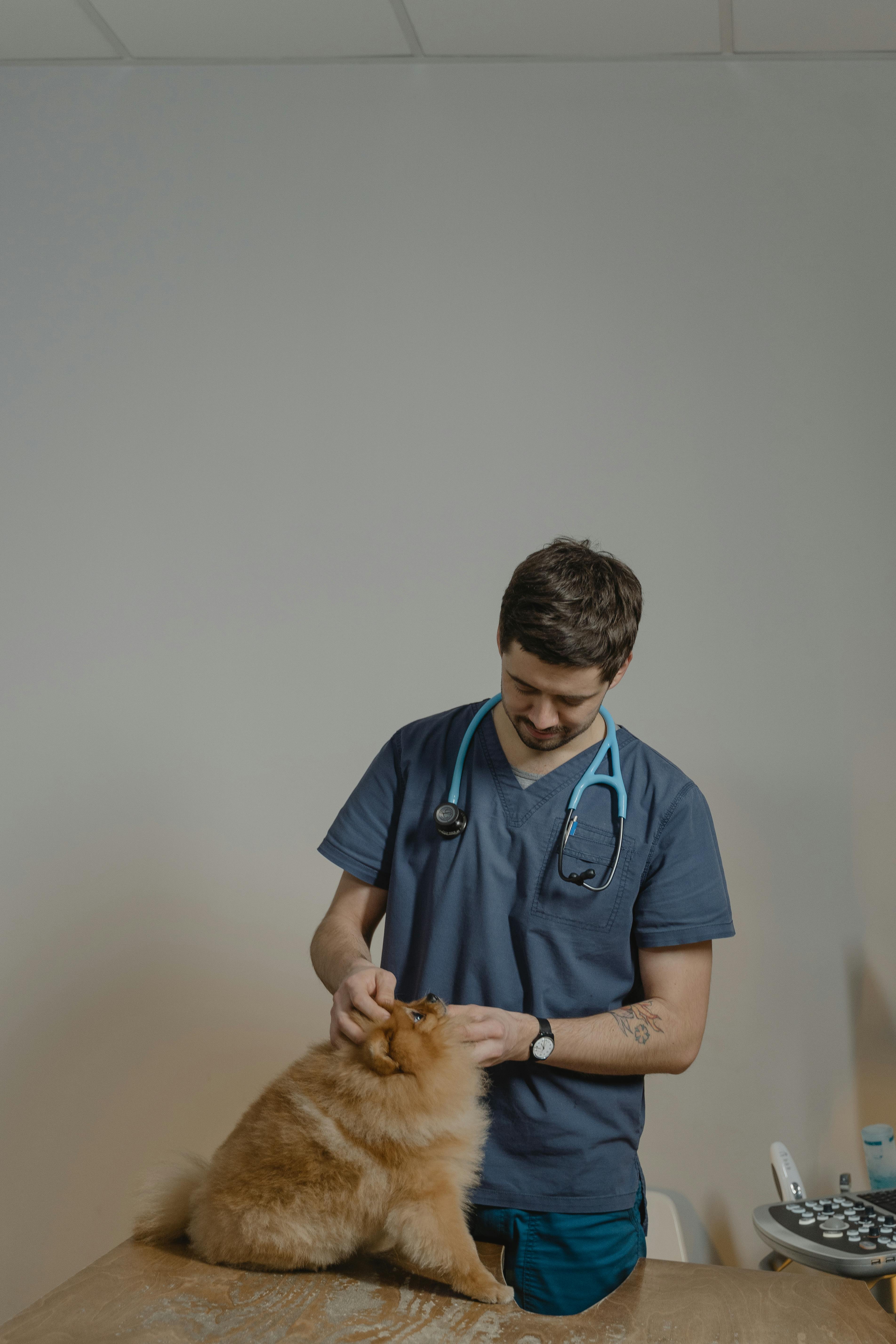Consulta Veterinária